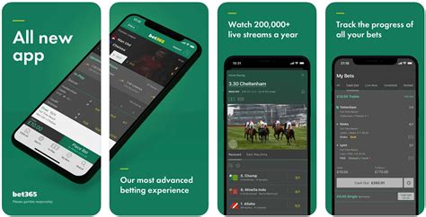 bet365 app pc,Mais